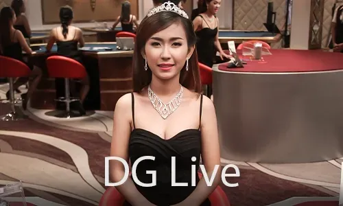Guide to Live Casino